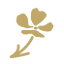Gift Icon Flower