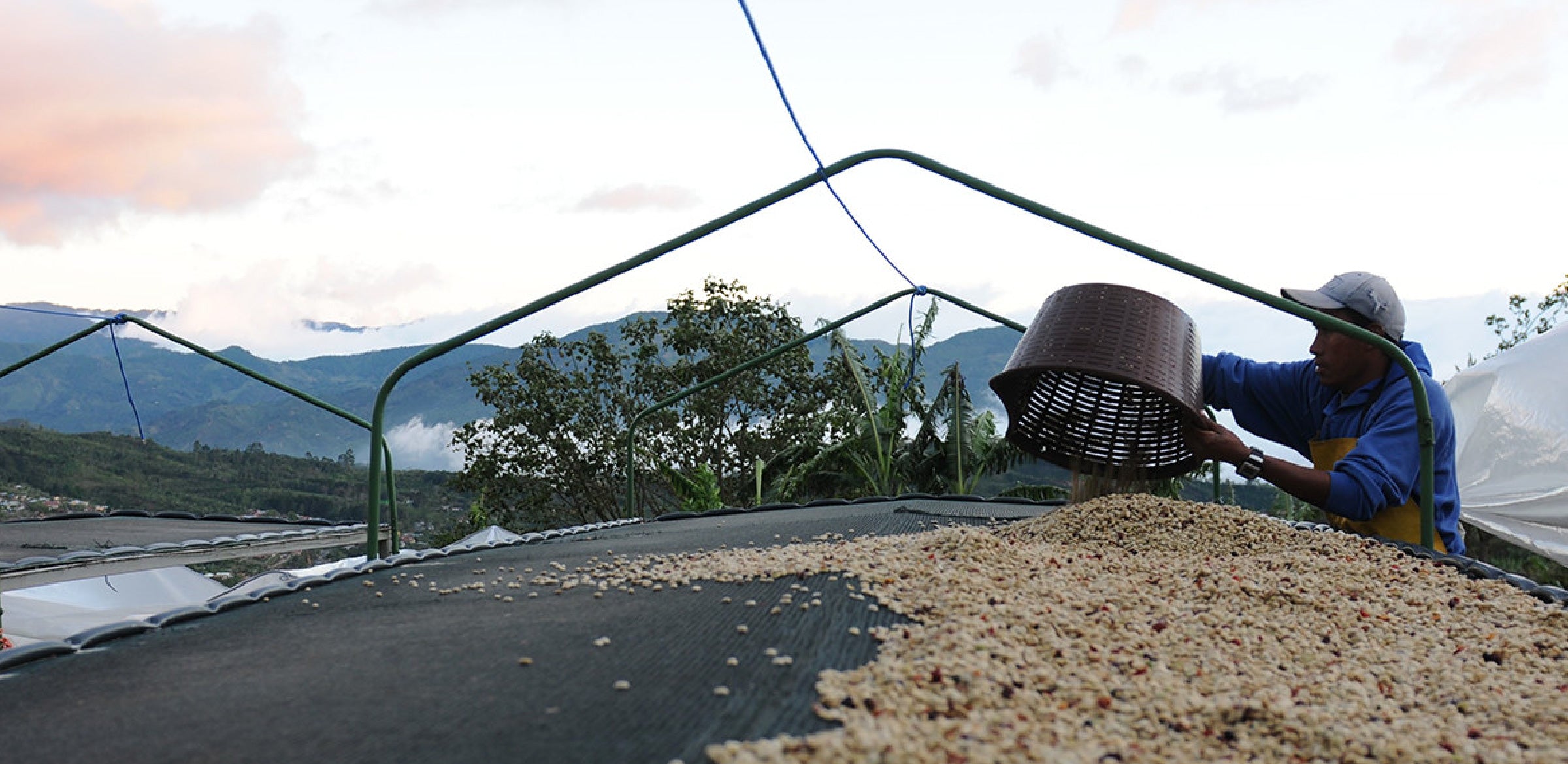 Tout - Producers: Gamboa Family - Slider 3