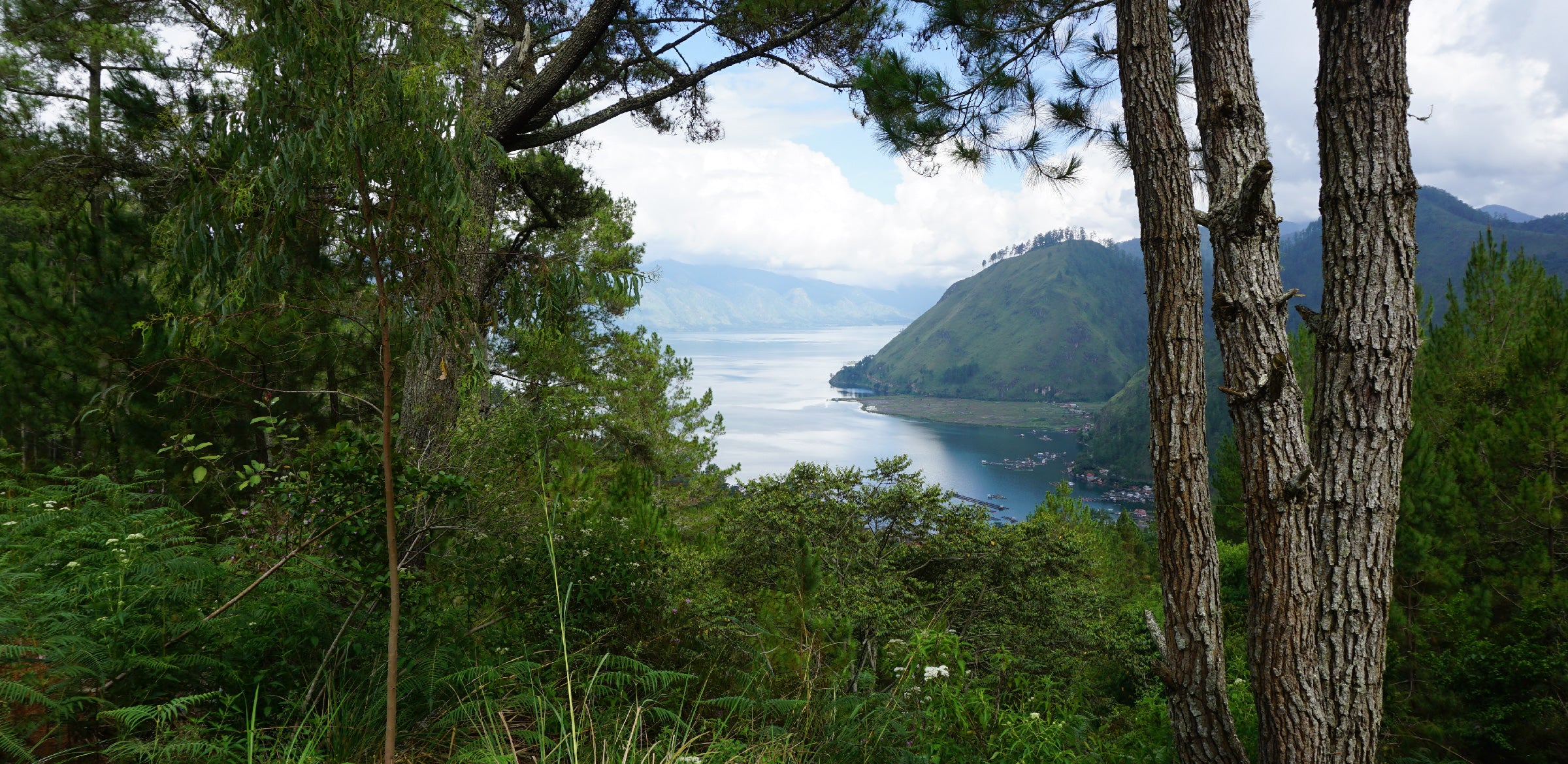 Tout - Producers: Ketiara Cooperative - Slider 1