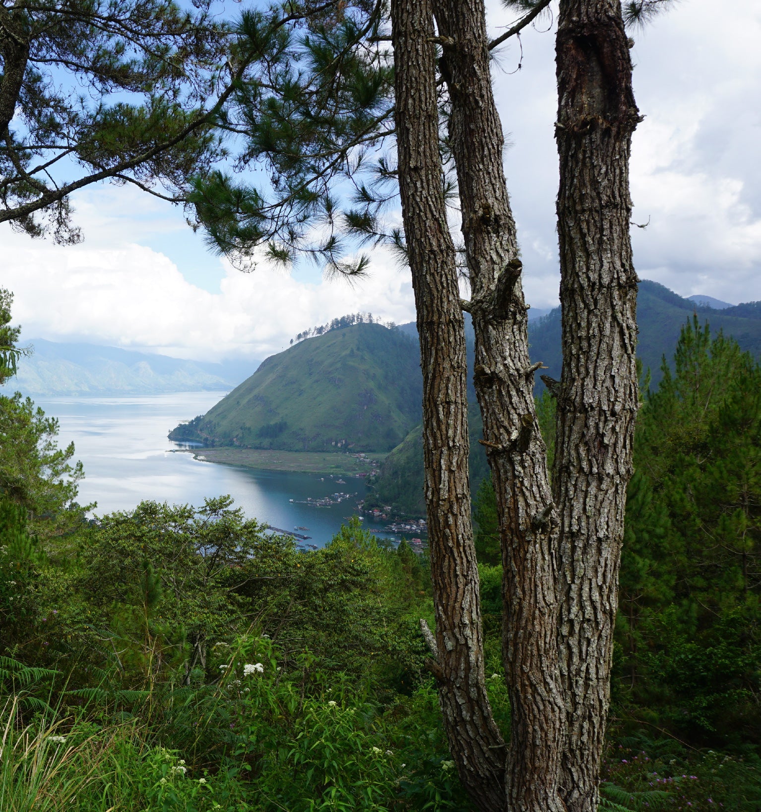 Tout - Producers: Ketiara Cooperative - Slider 1