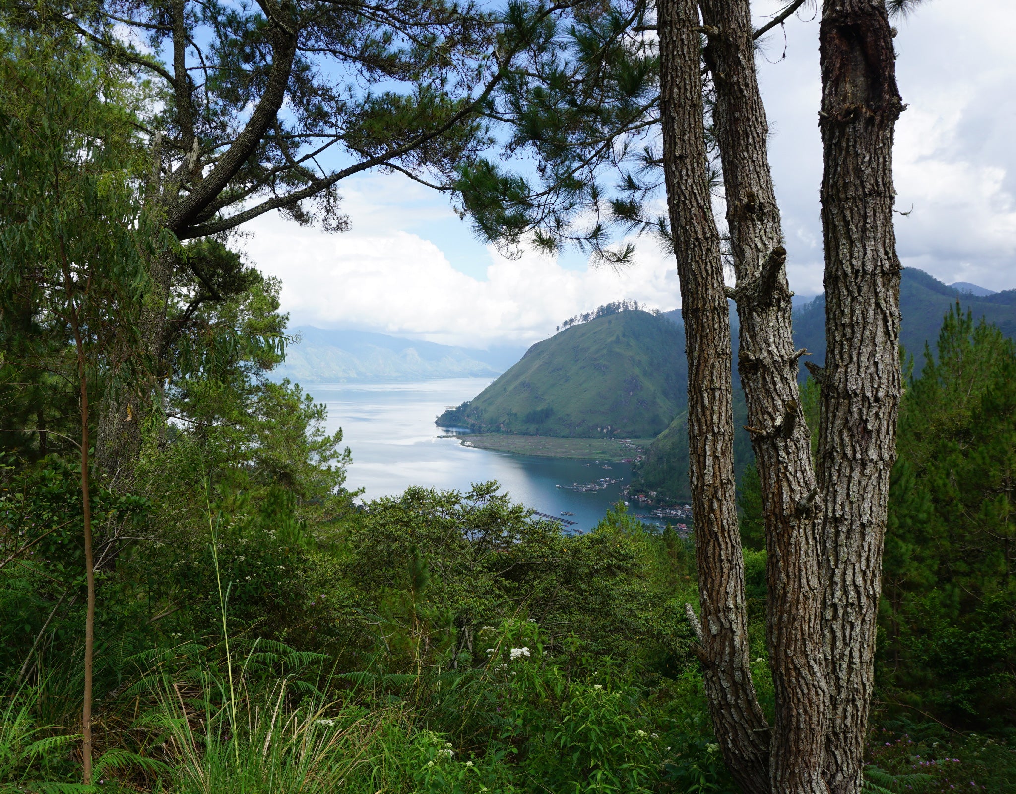 Tout - Producers: Ketiara Cooperative - Slider 1